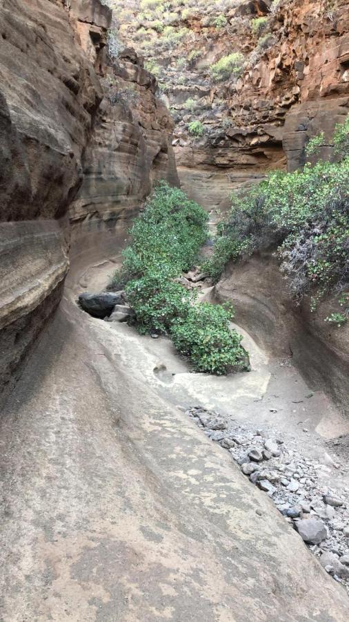 La Cuadra Finca El Calabres Agüimes Eksteriør billede