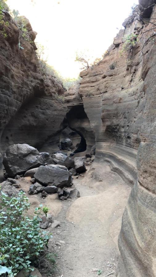 La Cuadra Finca El Calabres Agüimes Eksteriør billede