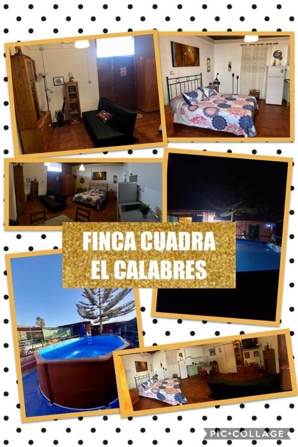 La Cuadra Finca El Calabres Agüimes Eksteriør billede
